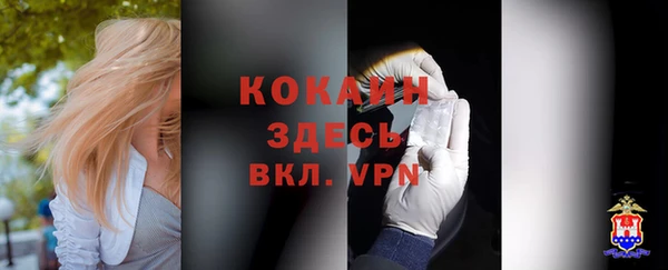кокаин премиум Заводоуковск